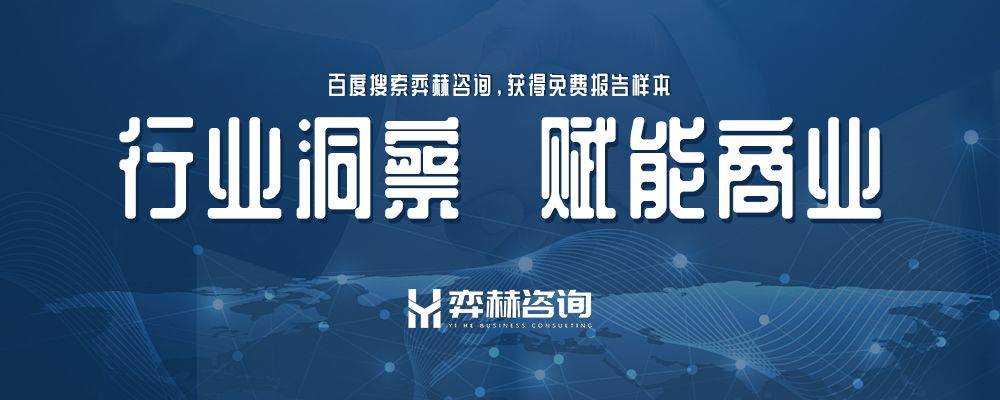 2025年拼图玩具市场九游会j9ag全面分析(图2)